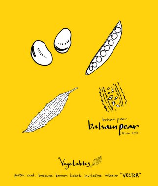 Sebze ve meyve resimler / el çekilmiş gıda maddeleri - vektör