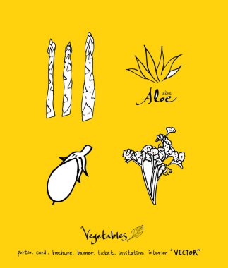 Sebze ve meyve resimler / el çekilmiş gıda maddeleri - vektör