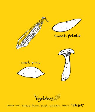 Sebze ve meyve resimler / el çekilmiş gıda maddeleri - vektör