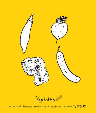 Sebze ve meyve resimler / el çekilmiş gıda maddeleri - vektör