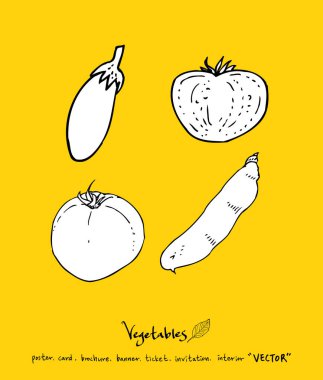 Sebze ve meyve resimler / el çekilmiş gıda maddeleri - vektör