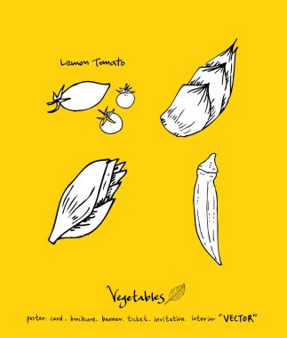 Sebze ve meyve resimler / el çekilmiş gıda maddeleri - vektör