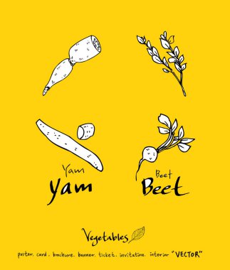 Sebze ve meyve resimler / el çekilmiş gıda maddeleri - vektör