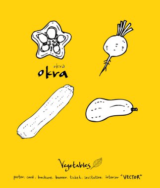 Sebze ve meyve resimler / el çekilmiş gıda maddeleri - vektör