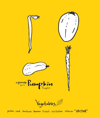 Sebze ve meyve resimler / el çekilmiş gıda maddeleri - vektör