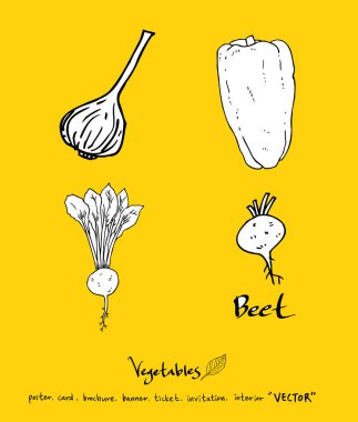 Sebze ve meyve resimler / el çekilmiş gıda maddeleri - vektör