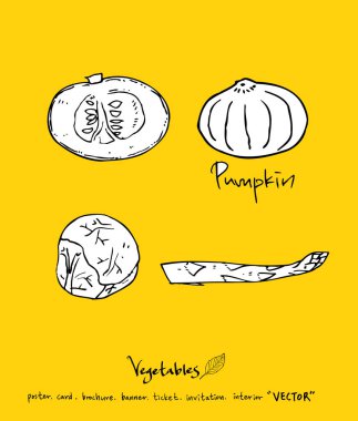 Sebze ve meyve resimler / el çekilmiş gıda maddeleri - vektör