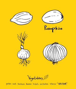 Sebze ve meyve resimler / el çekilmiş gıda maddeleri - vektör