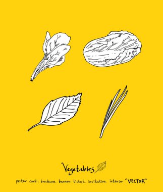 Sebze ve meyve resimler / el çekilmiş gıda maddeleri - vektör