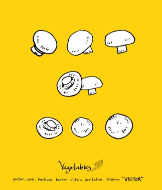 Sebze ve meyve resimler / el çekilmiş gıda maddeleri - vektör