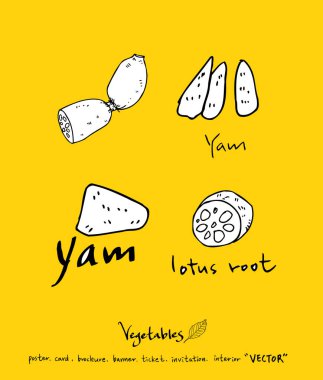 Sebze ve meyve resimler / el çekilmiş gıda maddeleri - vektör