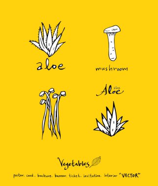 Sebze ve meyve resimler / el çekilmiş gıda maddeleri - vektör