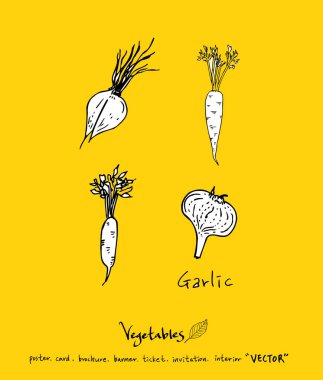 Sebze ve meyve resimler / el çekilmiş gıda maddeleri - vektör