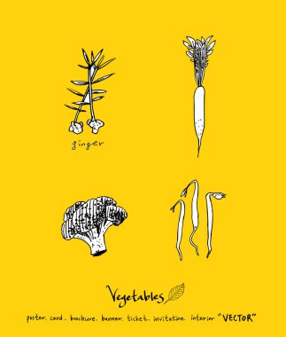 Sebze ve meyve resimler / el çekilmiş gıda maddeleri - vektör