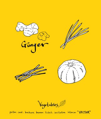 Sebze ve meyve resimler / el çekilmiş gıda maddeleri - vektör