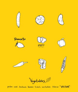 Sebze ve meyve resimler / el çekilmiş gıda maddeleri - vektör