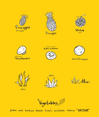 Sebze ve meyve resimler / el çekilmiş gıda maddeleri - vektör