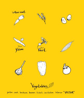 Sebze ve meyve resimler / el çekilmiş gıda maddeleri - vektör