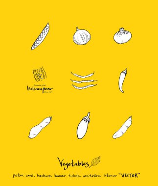 Sebze ve meyve resimler / el çekilmiş gıda maddeleri - vektör