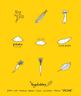 Sebze ve meyve resimler / el çekilmiş gıda maddeleri - vektör