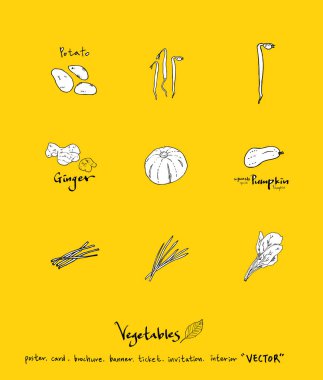 Sebze ve meyve resimler / el çekilmiş gıda maddeleri - vektör