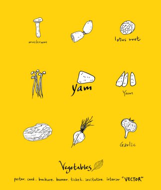 Sebze ve meyve resimler / el çekilmiş gıda maddeleri - vektör