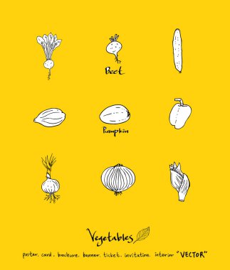 Sebze ve meyve resimler / el çekilmiş gıda maddeleri - vektör