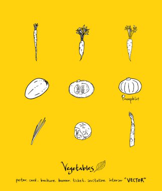 Sebze ve meyve resimler / el çekilmiş gıda maddeleri - vektör