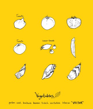 Sebze ve meyve resimler / el çekilmiş gıda maddeleri - vektör