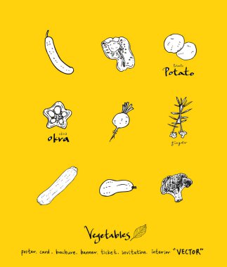 Sebze ve meyve resimler / el çekilmiş gıda maddeleri - vektör