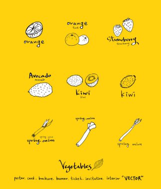 Sebze ve meyve resimler / el çekilmiş gıda maddeleri - vektör