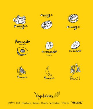 Sebze ve meyve resimler / el çekilmiş gıda maddeleri - vektör