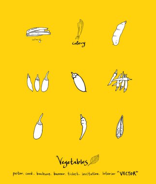 Sebze ve meyve resimler / el çekilmiş gıda maddeleri - vektör