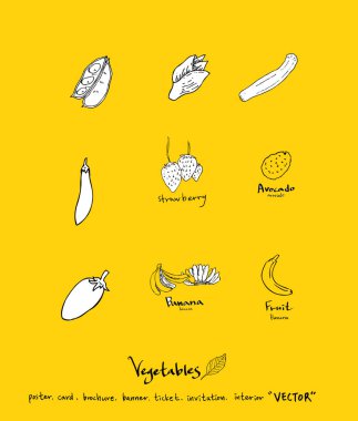 Sebze ve meyve resimler / el çekilmiş gıda maddeleri - vektör