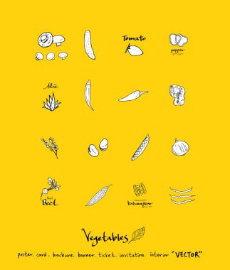 Sebze ve meyve resimler / el çekilmiş gıda maddeleri - vektör