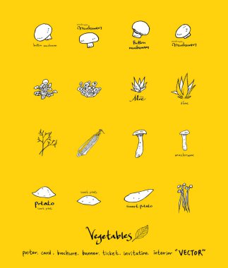 Sebze ve meyve resimler / el çekilmiş gıda maddeleri - vektör