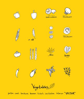 Sebze ve meyve resimler / el çekilmiş gıda maddeleri - vektör