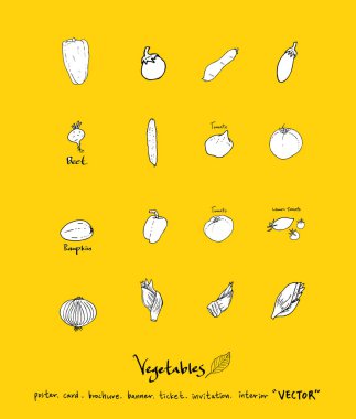 Sebze ve meyve resimler / el çekilmiş gıda maddeleri - vektör