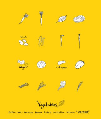 Sebze ve meyve resimler / el çekilmiş gıda maddeleri - vektör