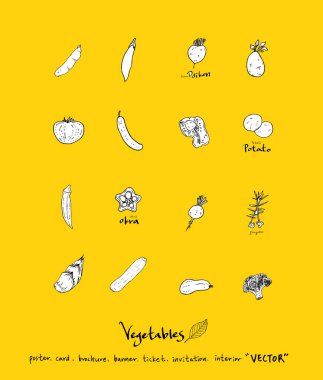 Sebze ve meyve resimler / el çekilmiş gıda maddeleri - vektör