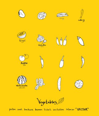 Sebze ve meyve resimler / el çekilmiş gıda maddeleri - vektör
