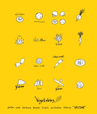 Sebze ve meyve resimler / el çekilmiş gıda maddeleri - vektör