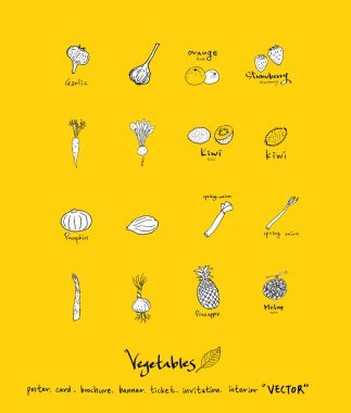 Sebze ve meyve resimler / el çekilmiş gıda maddeleri - vektör