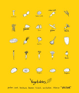 Sebze ve meyve resimler / el çekilmiş gıda maddeleri - vektör