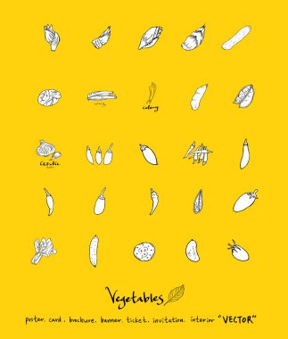 Sebze ve meyve resimler / el çekilmiş gıda maddeleri - vektör