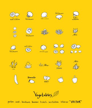 Sebze ve meyve resimler / el çekilmiş gıda maddeleri - vektör