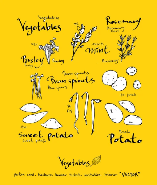 Sebze ve meyve resimler / el çekilmiş gıda maddeleri - vektör