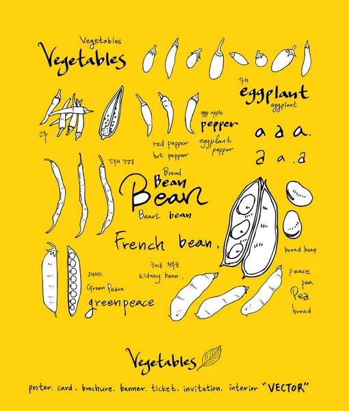 Sebze ve meyve resimler / el çekilmiş gıda maddeleri - vektör