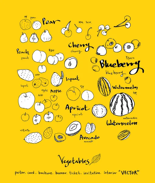 Ilustraciones Verduras Frutas Ingredientes Alimentarios Extraídos Mano Vector — Vector de stock