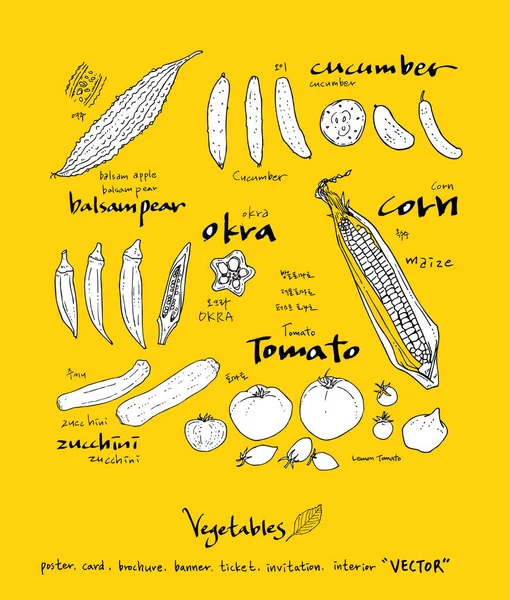 Sebze ve meyve resimler / el çekilmiş gıda maddeleri - vektör